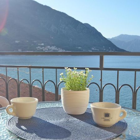Apartment The Sea Coast Kotor Eksteriør billede